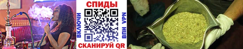 блэк спрут зеркало  Иваново  Бутират BDO 