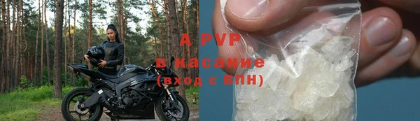 эйфоретик Горняк