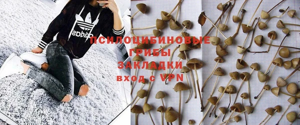 дмт Горно-Алтайск