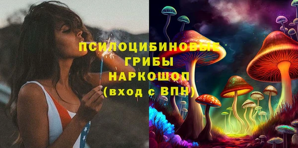 дмт Горно-Алтайск