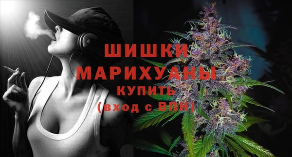 дмт Горно-Алтайск