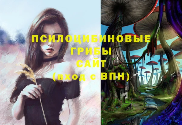 эйфоретик Горняк