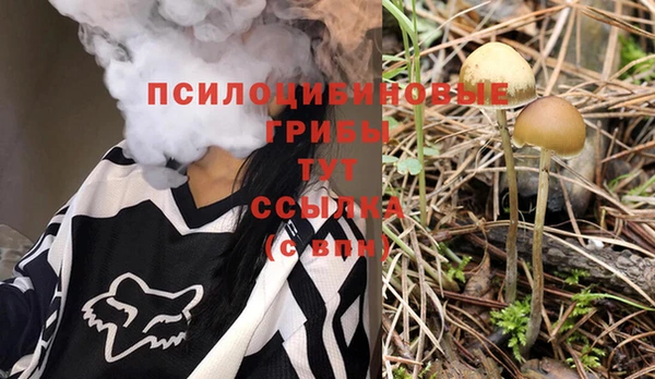 дмт Горно-Алтайск