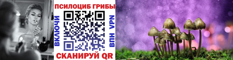 Галлюциногенные грибы мухоморы  omg зеркало  Иваново  даркнет сайт 